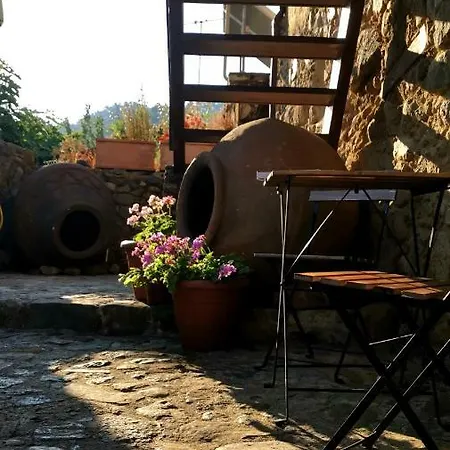Maritsa * Kakopetria