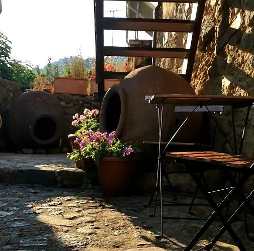 Maritsa * Kakopetria